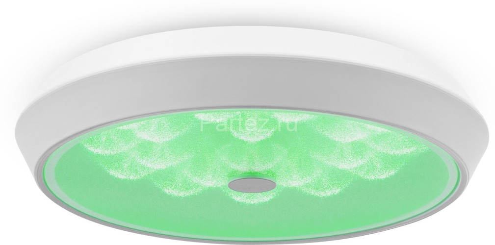 Потолочный светильник Freya FR10012CL-L24W