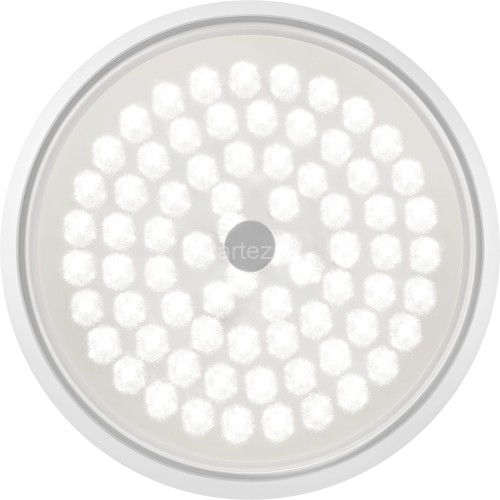 Потолочный светильник Freya FR10012CL-L24W